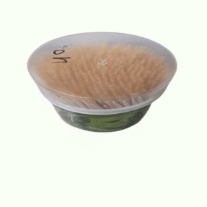 dollar toothpick