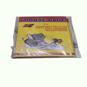 mouse trap
